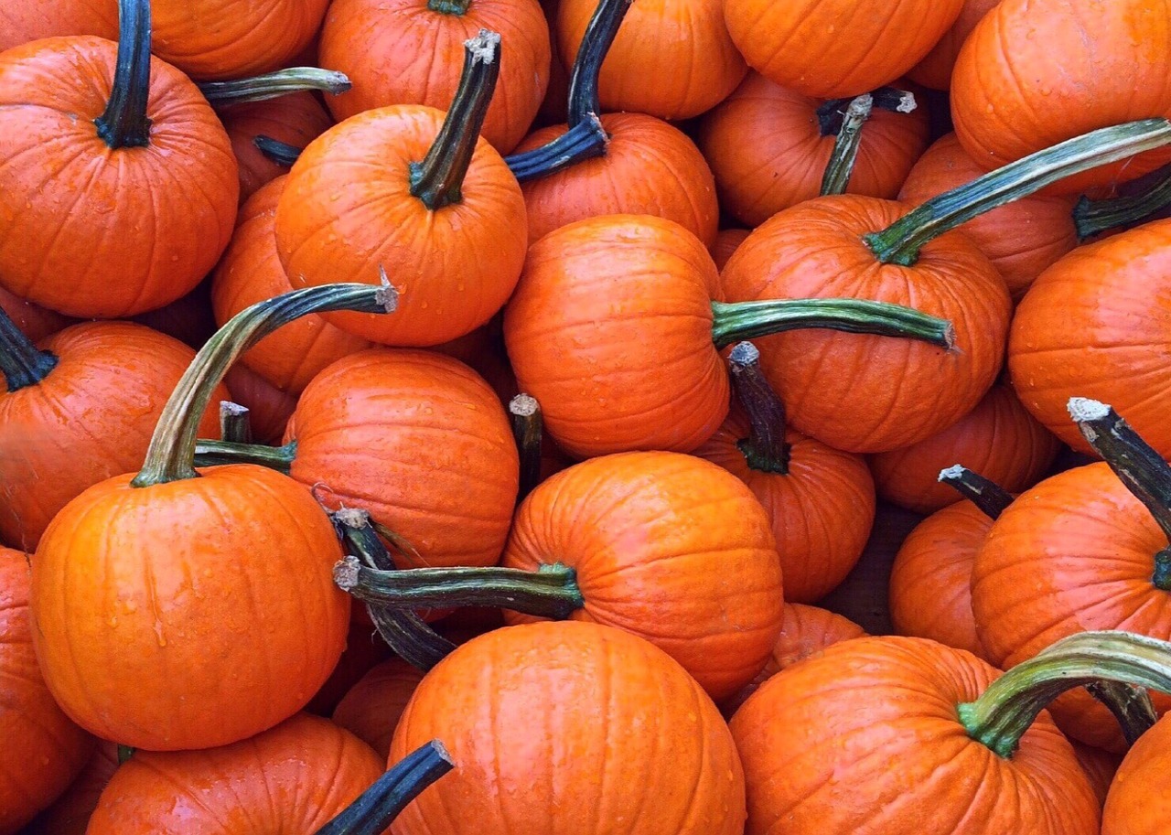 fall-950442_1280.jpg