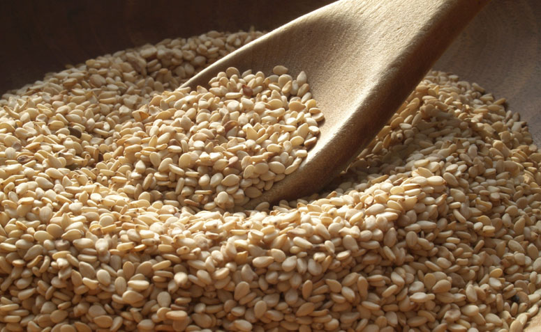 sesame.jpg