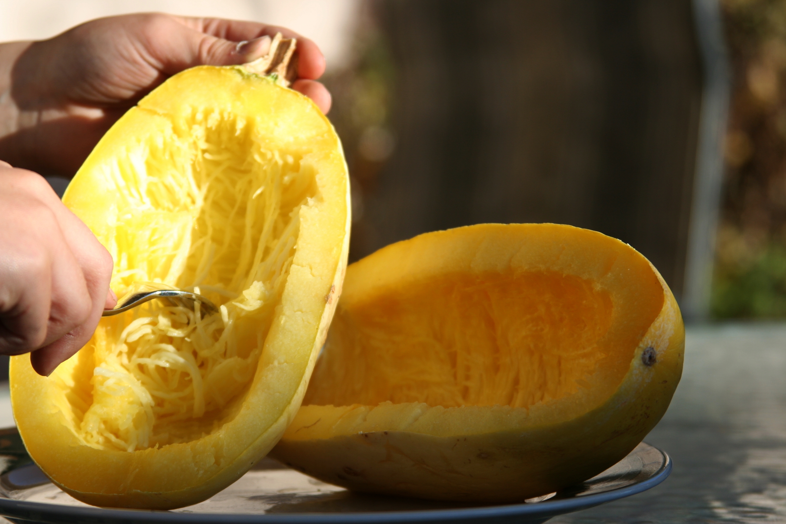 spaghetti-squash-shredding-2013-2.jpg